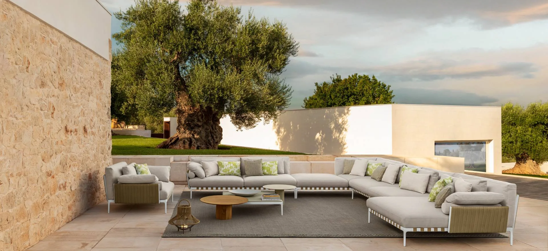 Talenti Salinas, catalog photograph
